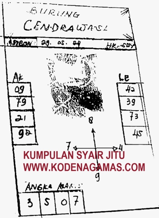SYAIR SGP VIP